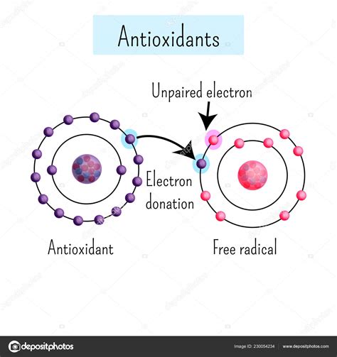 Ilustración que muestra la acción de antioxidantes combatiendo radicales libres en células.