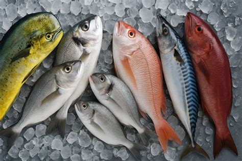 Variedad de pescados blancos frescos ideales para ceviche
