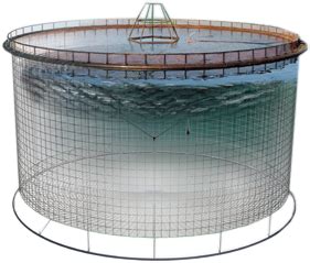Salmones en jaulas de cultivo en mar abierto con sistema de alimentación automatizado
