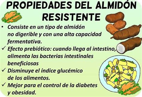 infografía sobre el almidón resistente y sus beneficios