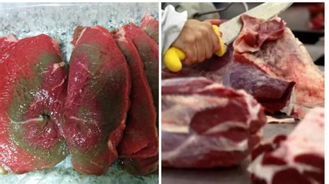 Fotos comparativas de carne fresca y carne en mal estado (cambio de color, moho)
