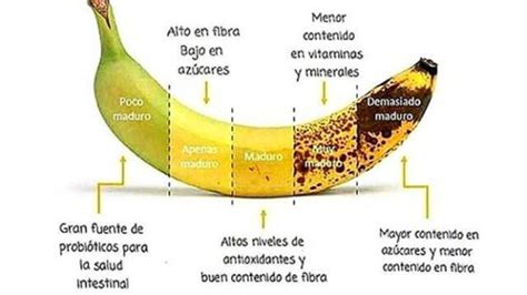 Ilustración de una persona soñando con plátanos en diferentes estados de cocción y madurez