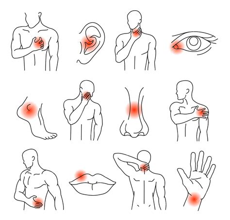 Esquema de las áreas del cuerpo y órganos relacionados con el dolor bajo los senos