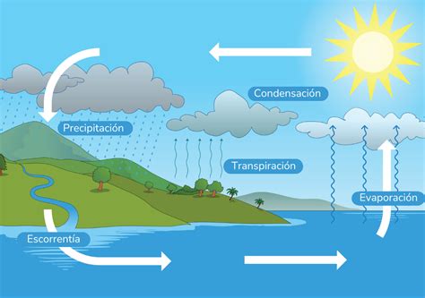 Esquema: Ciclo del agua y puntos de intervención para su gestión eficiente