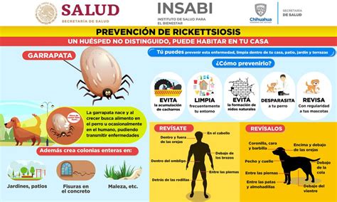 Infografía sobre cómo prevenir picaduras de garrapatas