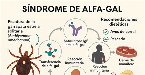 Mapa de distribución de garrapatas asociadas al Síndrome Alfa-Gal