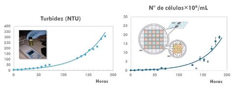 Gráficas de la evolución de la turbidez y la Vitamina C en zumo de membrillo.