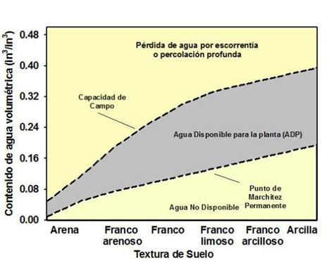 Gráfica de la evolución de la humedad del fruto y el contenido de aceite en semillas.