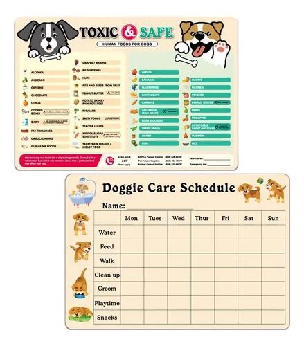 Infografía con una lista de ingredientes seguros y tóxicos para perros.