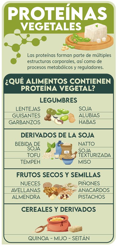 Infografía: % de proteína en diferentes alimentos vegetales