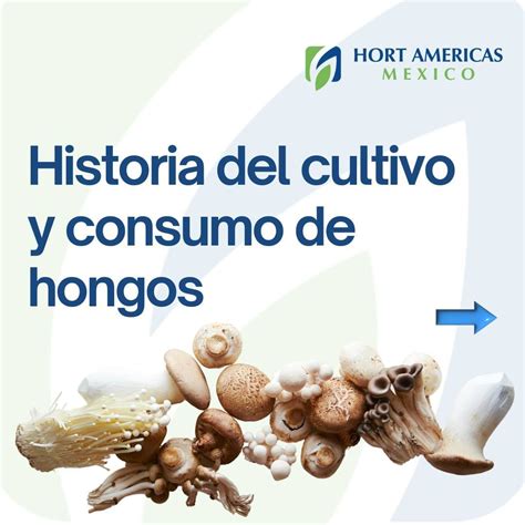 Representación histórica del consumo de hongos en culturas antiguas