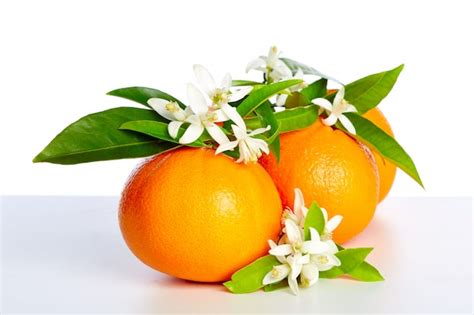 Naranjas frescas y flor de azahar