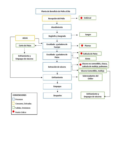 Diagrama del proceso de engorde del pollo o pollo en granja