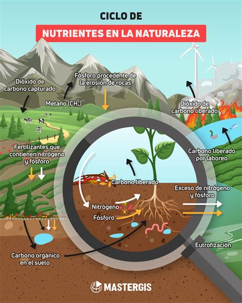 Diagrama que ilustra el ciclo de nutrientes en un fiordo, mostrando las fuentes de entrada (acuicultura, escorrentía) y los procesos de acumulación y dispersión.