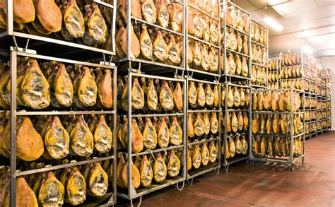 Interior de un secadero de jamones con numerosas piezas colgadas en diferentes etapas de curación