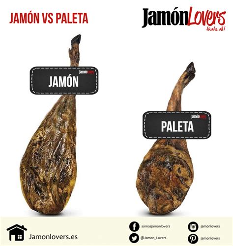 Esquema comparativo que muestra las diferencias anatómicas entre una paleta y un jamón