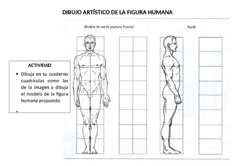 Esquema conceptual que vincula la figura humana con elementos terrestres como raíces, estratos geológicos y agua, representando la carnalidad de la tierra en el pensamiento de Gabriela Mistral.