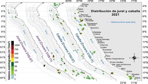 Esquema de la distribución geográfica del jurel en las costas del Pacífico Sur, destacando las principales regiones de captura desde el norte hasta el sur de Chile