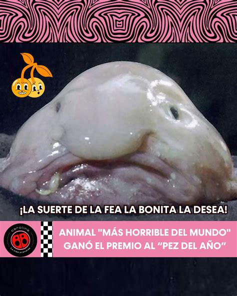 Diseño de personaje de Manteca de Mar, criatura similar a un pez borrón