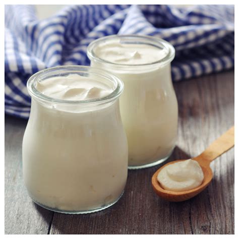 Imágenes de diferentes tipos de fermentos: yogur natural, fermento liofilizado en polvo