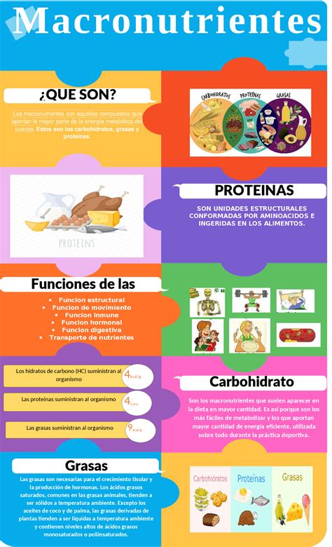 Infografía comparativa de calorías y macronutrientes en diferentes tipos de pan (marraqueta, hallulla, pan integral, pan pita)