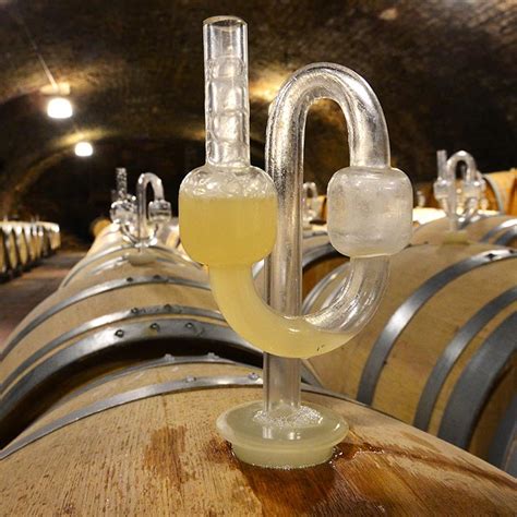 Infografía detallando las diferencias entre fermentación espontánea y guiada, mostrando los tipos de levaduras involucradas y sus roles.