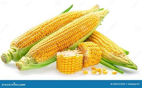 Imagen de mazorcas de maíz dulce 'Caramelo' frescas y listas para el consumo.