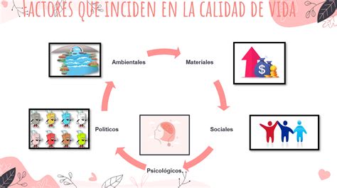 Esquema de factores que influyen en la calidad de la carne