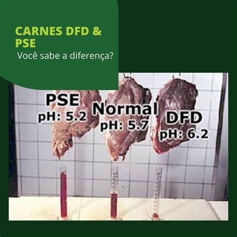 Infografía comparativa de cortes de carne: normal, PSE y DFD