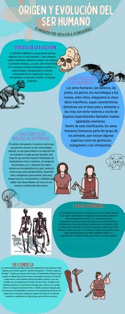 Infografía: Origen y evolución de los cupcakes