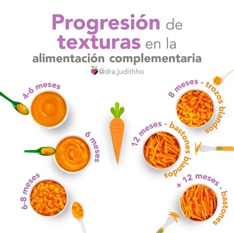 Esquema de progresión de texturas desde purés hasta trocitos sólidos