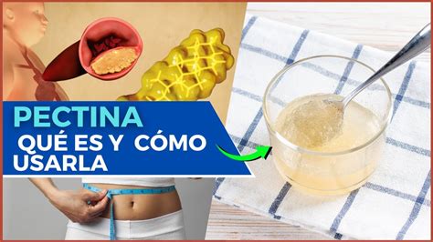 Esquema de cómo la pectina absorbe agua en el intestino