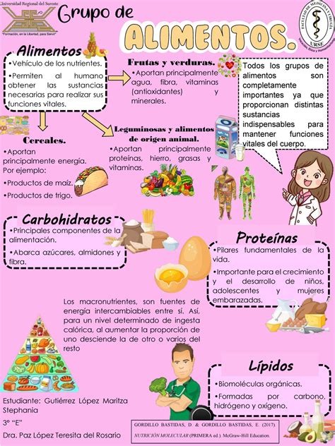 infografía sobre las diferentes clasificaciones de alimentos y su función nutricional