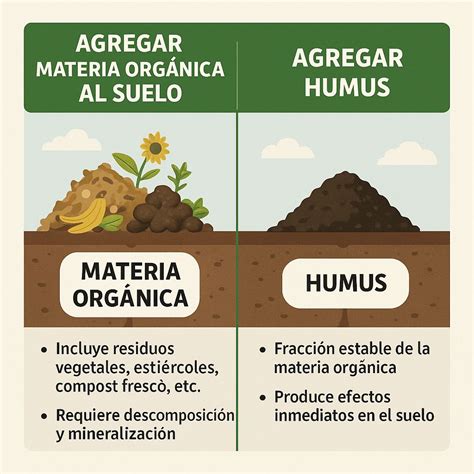 Infografía mostrando la relación entre tipo de suelo, materia orgánica y retención de herbicidas