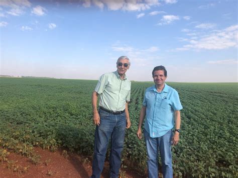 Fotografía de los Doctores Francisco Aragão y Josias Faria en un campo de porotos transgénicos en Río Verde, Goias, Brasil