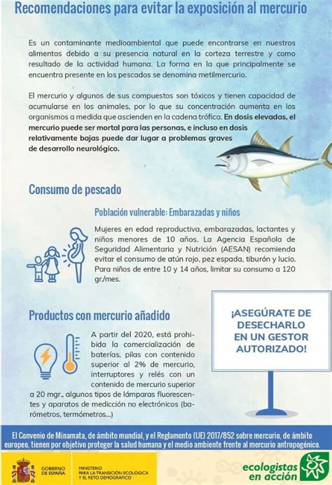 infografía sobre riesgos del pescado crudo y mercurio durante la lactancia