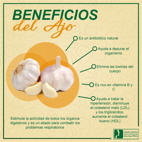 Infografía sobre los beneficios del ajo para la salud