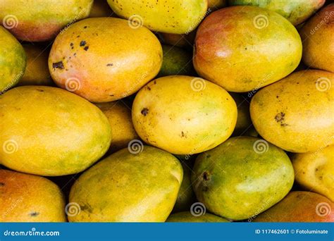 Cesta con mangos maduros, chiles frescos de varios tipos y cebollas