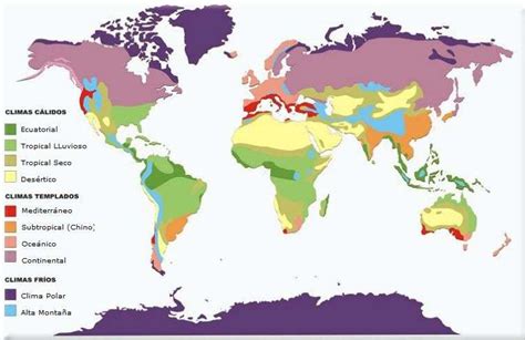 Mapa mostrando las regiones del mundo con climas más favorables para el cultivo de espárragos.