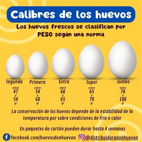 Infografía comparativa: contenido calórico promedio de diferentes tamaños de huevos de chocolate y equivalencias en azúcar.
