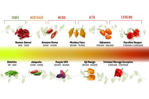 Infografía: Nivel de picante en diferentes tipos de rocoto y consejos para reducirlo