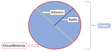 Esquema técnico que muestra la relación entre el diámetro del canasto, la circulación del aceite y la profundidad óptima para una cocción uniforme.