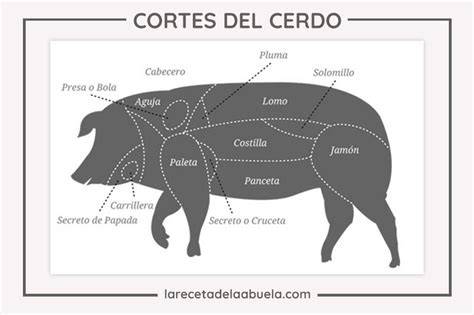 Infografía: Corte esquemático de un cerdo mostrando la panceta.