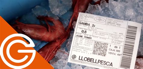 Ejemplo visual de una etiqueta de pescado con todos los campos obligatorios.