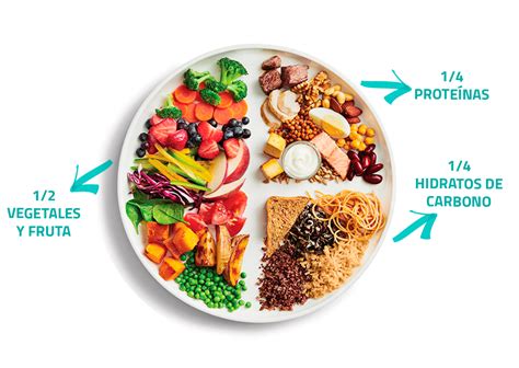 infografía sobre la composición de un plato vegano equilibrado siguiendo el modelo del plato de Harvard