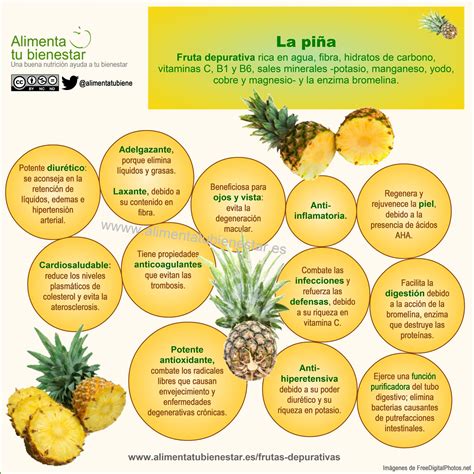 infografía comparando el aspecto de la piña tropical y la piña del pino