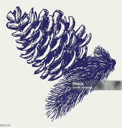 ilustración detallada de la estructura de un estróbilo de pino