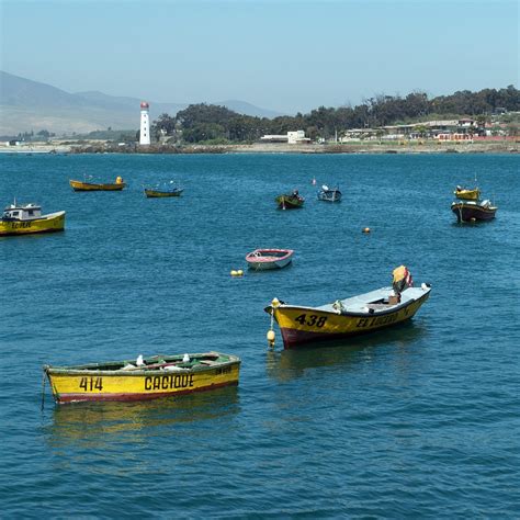 Caleta de pescadores artesanales en la costa chilena