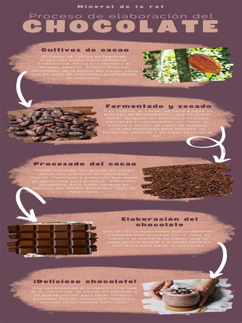 Infografía del proceso de elaboración del chocolate