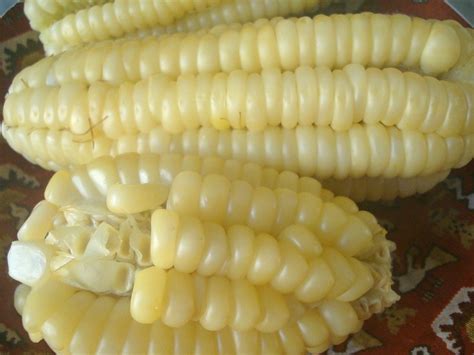 Primer plano de choclo sancochado o maíz cocido